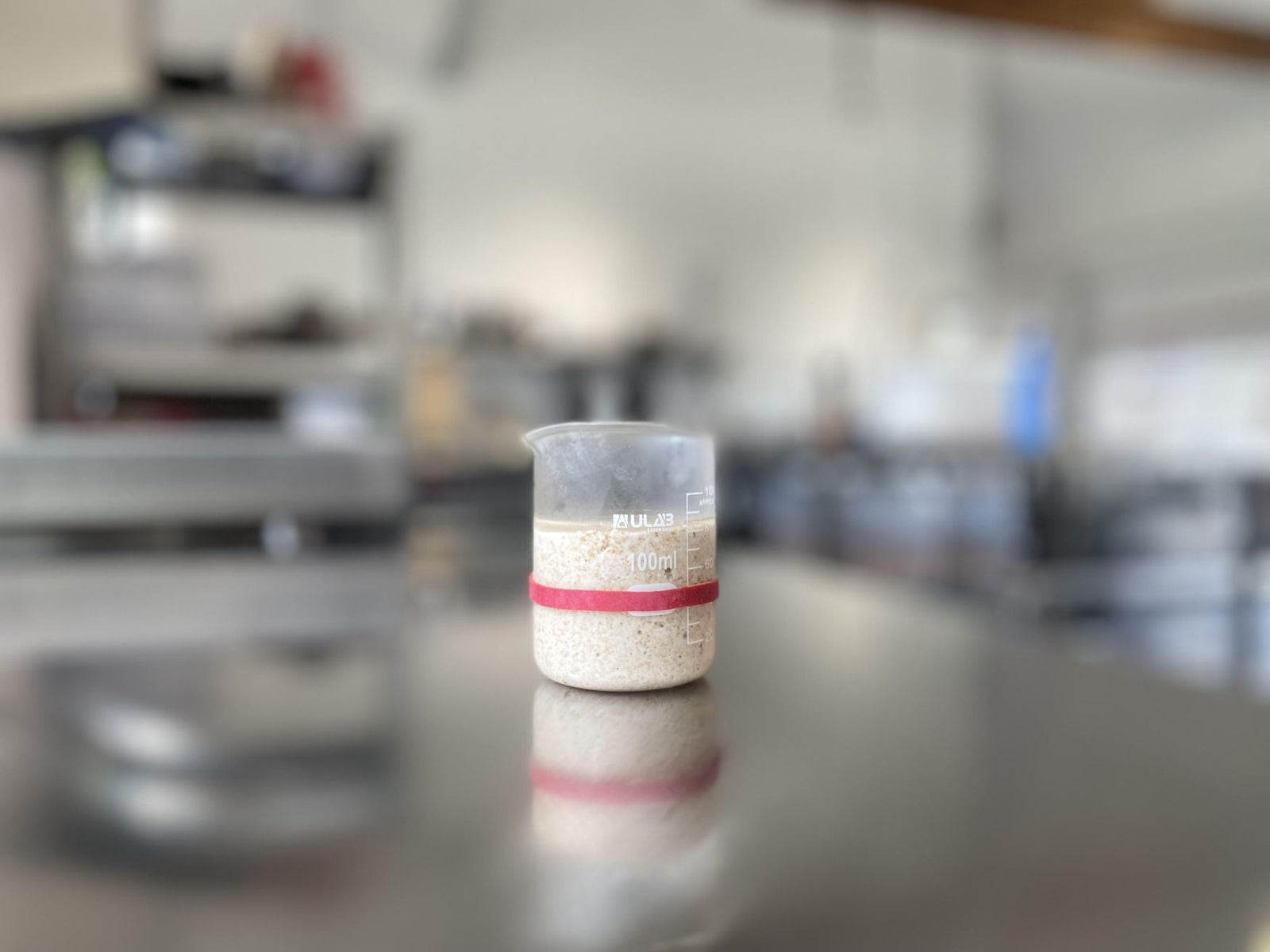 How to Make a Sourdough Starter