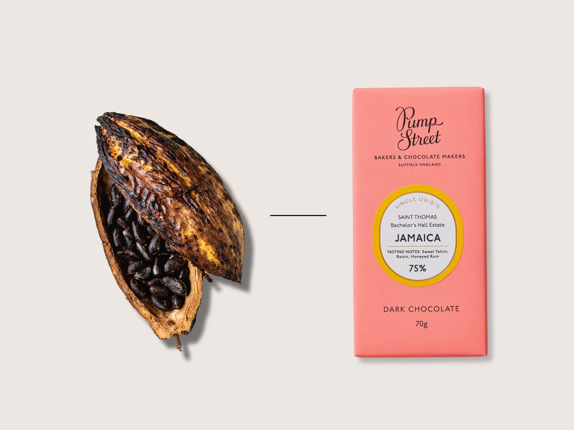 Bean to Bar Chocolate Infographic 