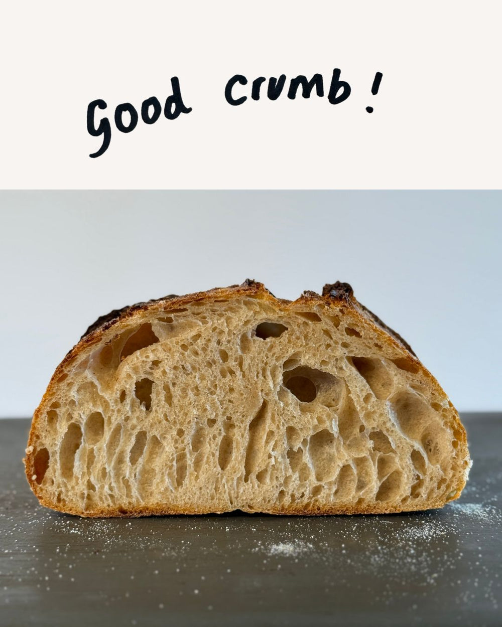 Sourdough Crumb Chart A Visual Guide to Fermentation Pump Street
