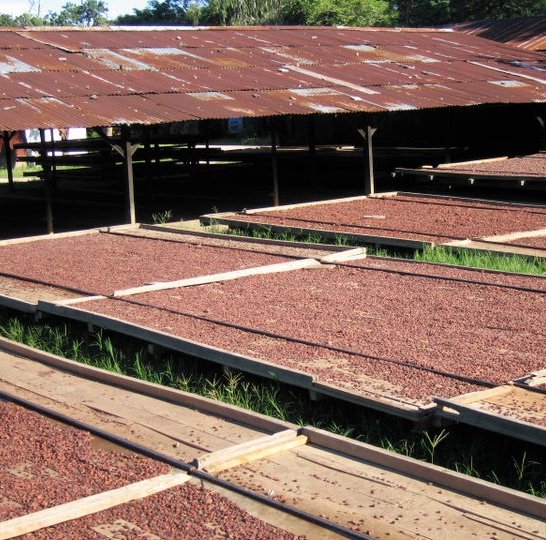 Madagascar single origin chocolate cacao farm
