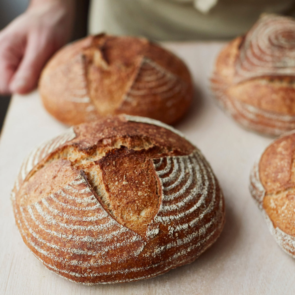 Understanding Sourdough Class